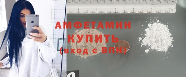 индика Коряжма