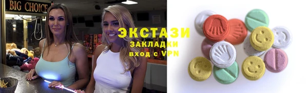 индика Коряжма