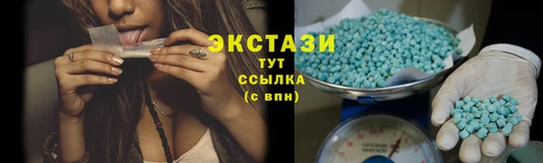 индика Коряжма