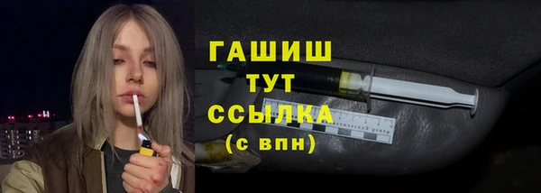 индика Коряжма