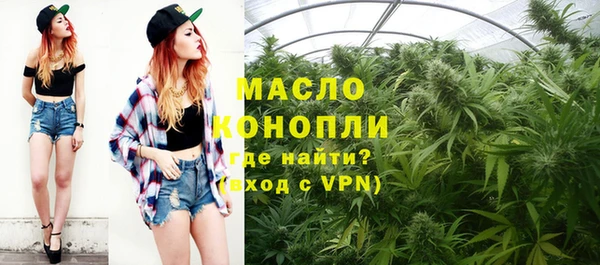стаф Кодинск