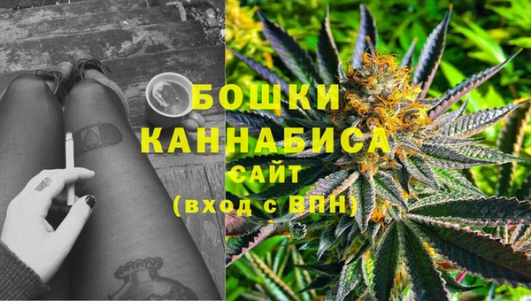 индика Коряжма