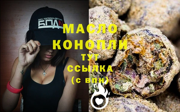 индика Коряжма