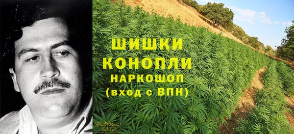 индика Коряжма