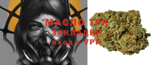 индика Коряжма