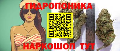 синтетический гашиш Камышлов