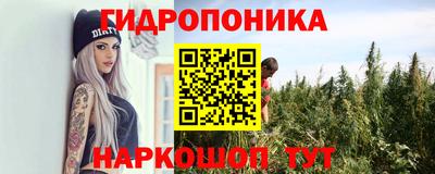 соль ск Канаш