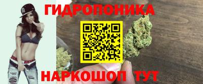 синтетический гашиш Камышлов