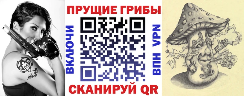 Галлюциногенные грибы Psilocybine cubensis  закладка  Курган 