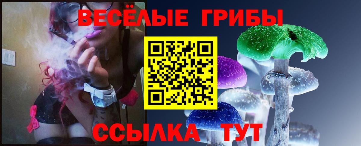 Галлюциногенные грибы GOLDEN TEACHER Курган