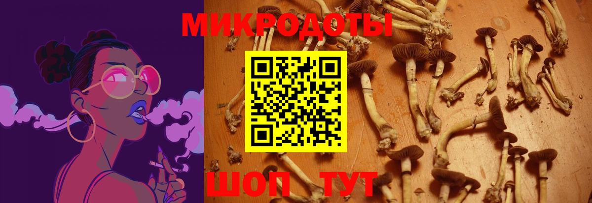 Галлюциногенные грибы мицелий  Курган 