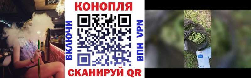 Конопля SATIVA & INDICA  Курган 